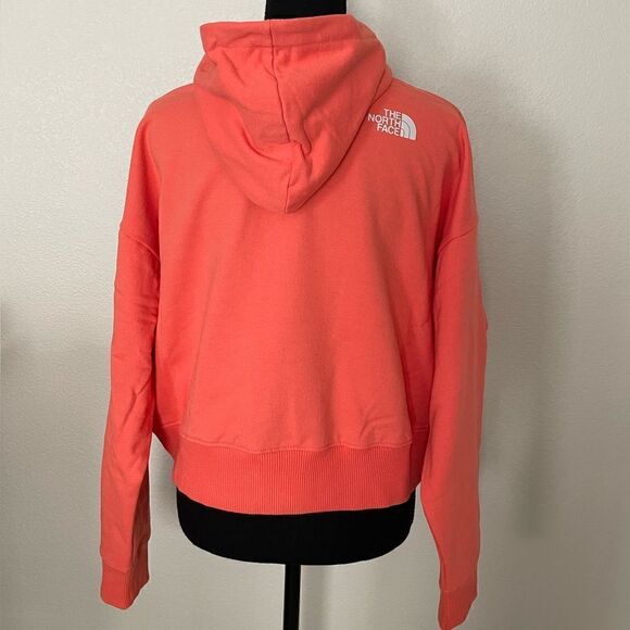 NWT The North Face Logo Play Hoodie - Picture 8 of 11